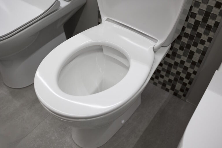 How to Remove a Toilet Seat Remove Toilet Seat StepbyStep